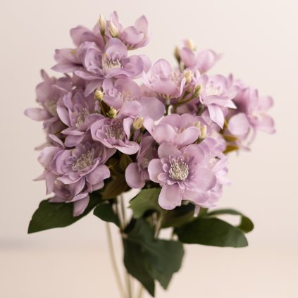 5c6dfa26 897f 4830 af17 40371ce0108e