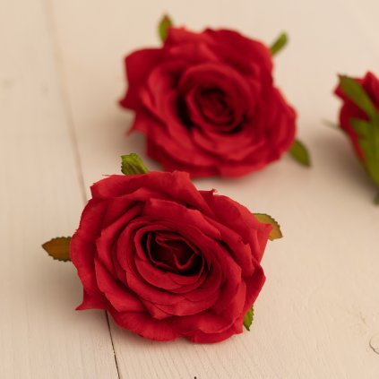 ed33fed7 1952 4d90 be6e 5b84dd3fea14