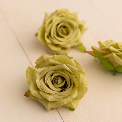 6fa06fd9 1739 4d7c 8475 29903c2b253c