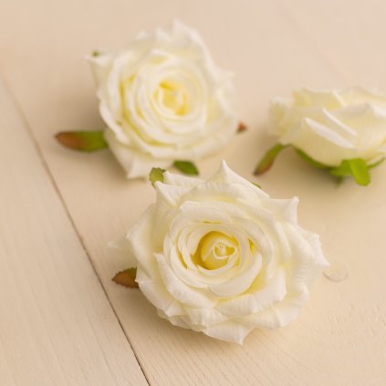 8e2606eb 8745 4ff1 bd10 9b297b3ab216