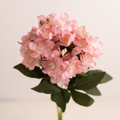 8836d049 c3ad 4711 94cf 7ea1b09c84f7