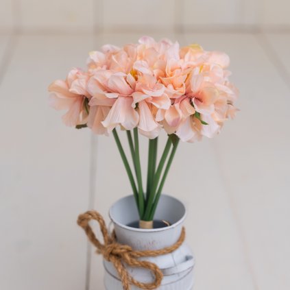 dec1948e 7247 4b70 bc34 a93ee1a81005