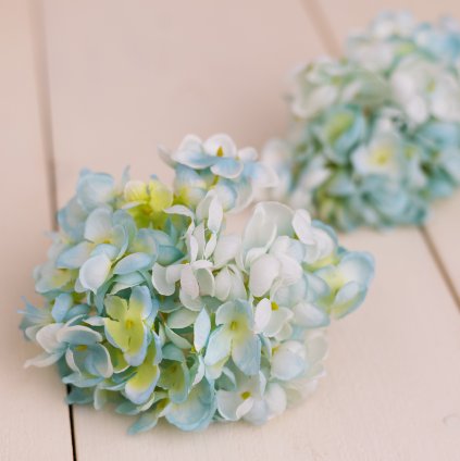 f5668192 6341 4f20 8fd6 c6d0b6ffedc8