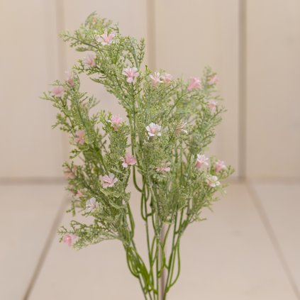 59a2a2cd 390a 48e5 a0eb fb0f2ade27a7