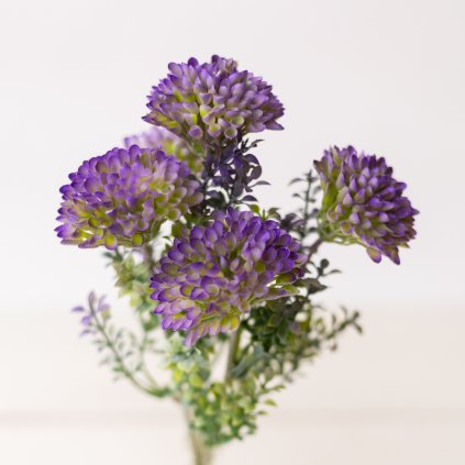 48d5629b c7b7 40dc 8977 6dc2bddbc9a9