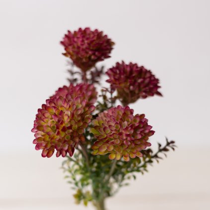 ba6e15a8 e1b6 4cbe a3d1 8f700981b4b7