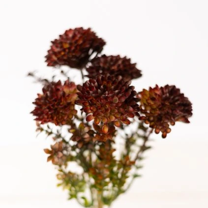 824b8a70 8a55 485f 82ae 1c7b9469123c