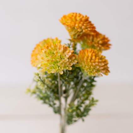 a9c3cb33 478e 404a 8703 27c02da6848f