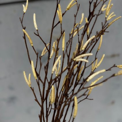 f94bdb37 3266 4bd1 85e8 9fc6a4ba5962