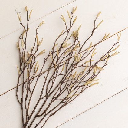 2f1ad725 bf4e 4d26 9eb7 5f098a8f1ae1