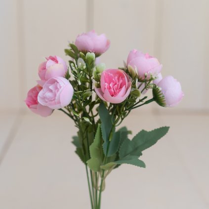 c8c5a2ad dd52 407f 8dc7 a6acc494f36d