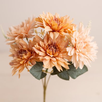 a7bcdb68 6c54 458d a2b3 7eb49ca3c202