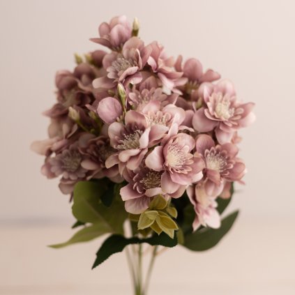 8c72cc12 e3ef 4796 8ae1 f529d658f422