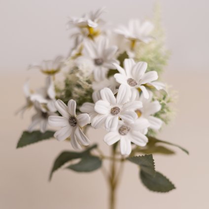 22e9fc3d 824b 4ba4 8aca d50542c1f0cb