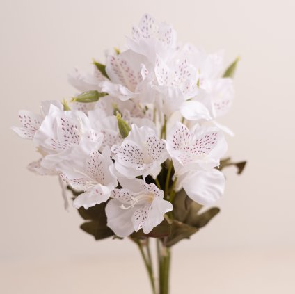 e4801041 a0e1 48c5 ad32 85ba868387eb