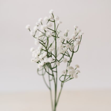 5c109c9f 626e 4db3 9a25 b0a321f2d3f8