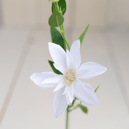 fa08b15e 7659 4d76 82c9 1150465f135e