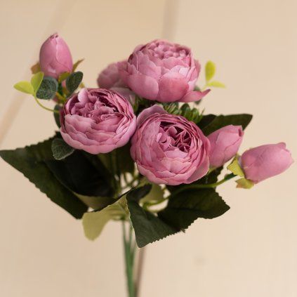 78c370a0 68e4 4175 8ea6 30cd939a710c