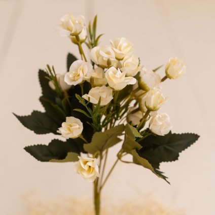 8e4fd8ae e31d 4b80 9549 3c00e18d65b4