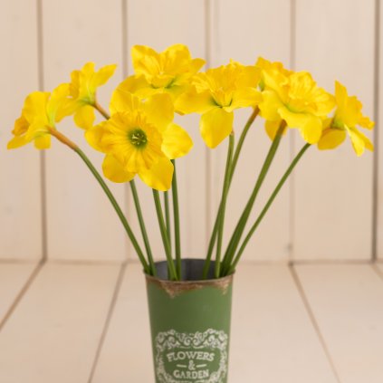 930b5d8b 9b09 4a1c be6f 46dc212898fc