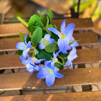 1b221213 5a7b 4847 aba1 c28817e0cdc2