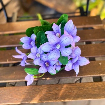 621e6de2 2990 449a 9c59 087045b9a0a8