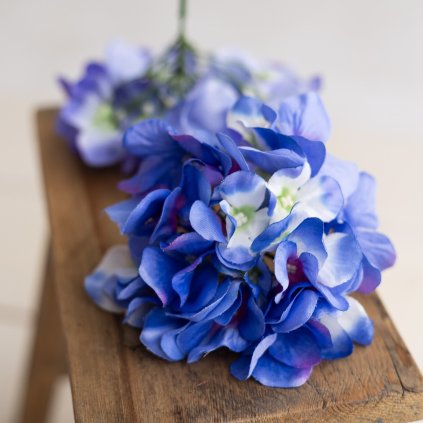 4f454dbf dac9 48b7 abac a1e6ffd1e88f