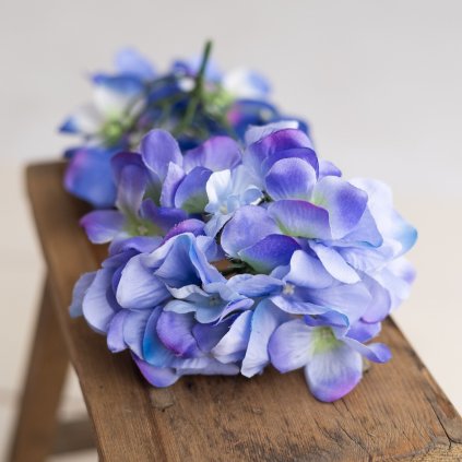 bc49cd27 ac6d 4844 8812 7f4edf8028b1