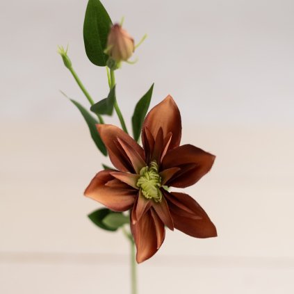 36d7c7c1 5e3a 4dff abe6 d42b59358f99