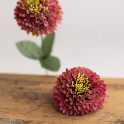 ee87055c c1bd 43cf 89b2 a1f6438dd9a0