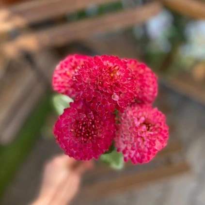 defc5dba 542c 4a51 8be9 5f0f128f9acf