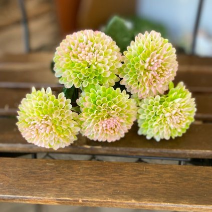 2c9f9b49 61ef 4664 839c 08f0fa2bc79c