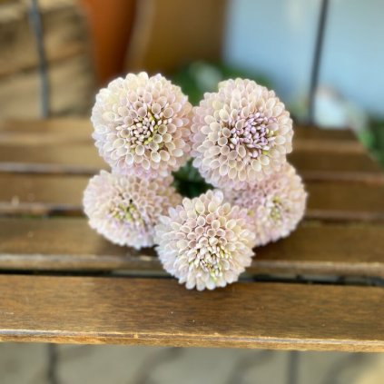 31d28b7b be80 4d47 922a ad111c5b2629