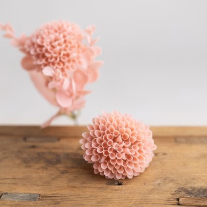 76a85bd0 27d3 4c8e 8ca9 0942e3fef176