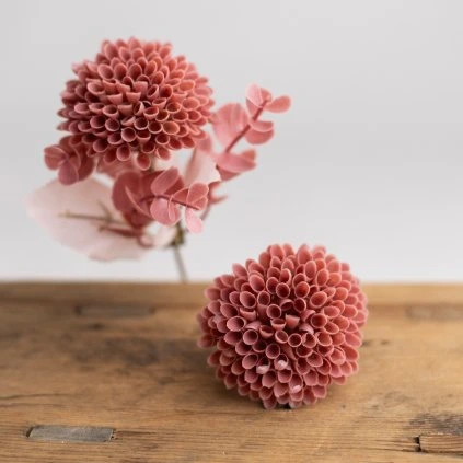 ca5d61f8 4155 4ab0 9698 006ebe2b74e9