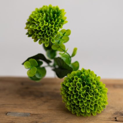 9f9b4891 e37b 4890 9e8b 4c88c787b6b3