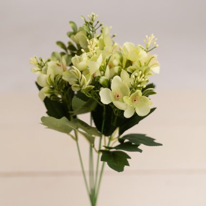 cc4da5a7 335f 441f a5cc 770a64533875