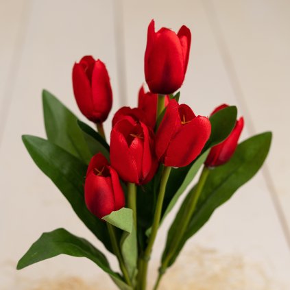 9300a6ca 0e24 489e a7e3 493e410a1493