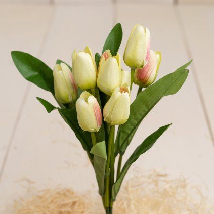 813b315d eb3a 44fb 8730 5ba864a256b6