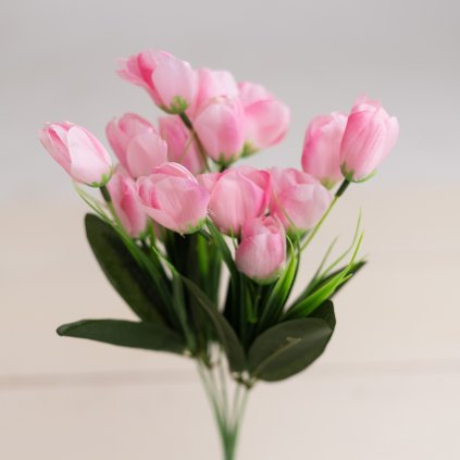 2cc7bca3 fb14 4c0b 971e 9b3f743f328d