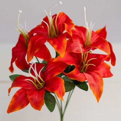 bb9ae90e 554b 4ab1 bfb0 b0ad32bcea0d