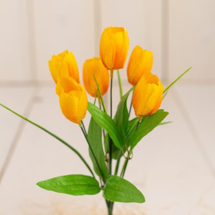 34776400 c569 4b43 a31e ee7b8a0c9cdc