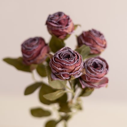 ca1a81d2 6c9a 4ab4 9b86 d8a56d098d4e