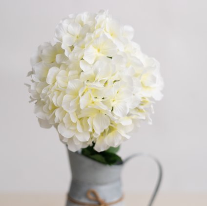 c785b2a0 18a7 4f5c ba57 7e89b39464d3