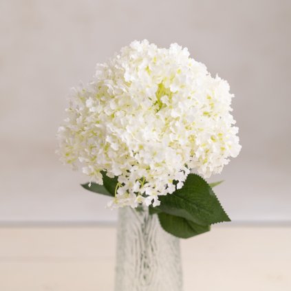 b15a5a24 5f4f 42f3 b2e2 db5f38a6398b