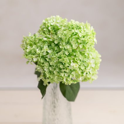 d1cc4980 d17e 404b a315 c7bbfa81cef4