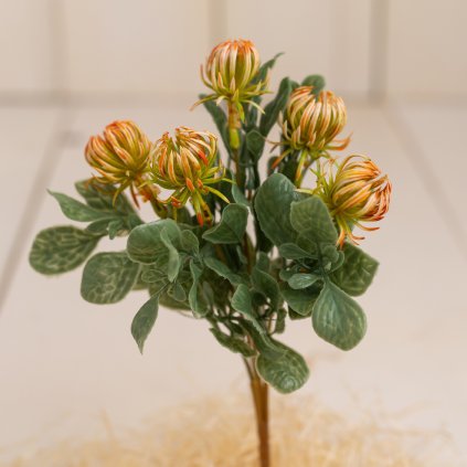 c3f36c07 dc33 4e10 a6c5 d8a7e12cde7e