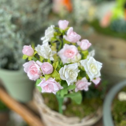 f197121d 5c56 470d a13f bf5dfc34e51b