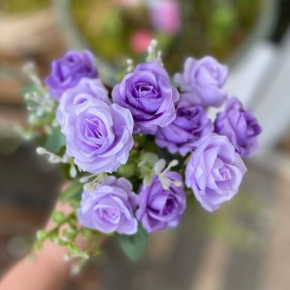 16d73ce1 d9c3 4161 82a3 b32c2c64d21f