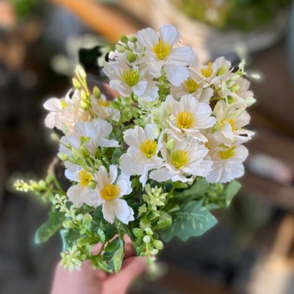 b65b4e54 7665 4f36 a6d3 5dcd67b43751